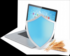 社会诚信扶植也为食物品牌扶植注入了时代内